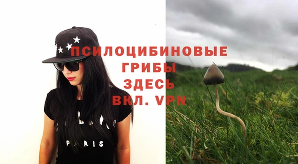 винт Верея