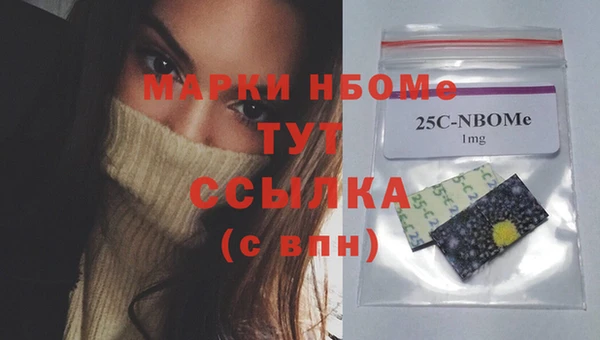 винт Верея