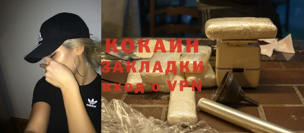 винт Верея