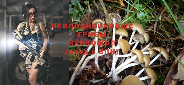 винт Верея