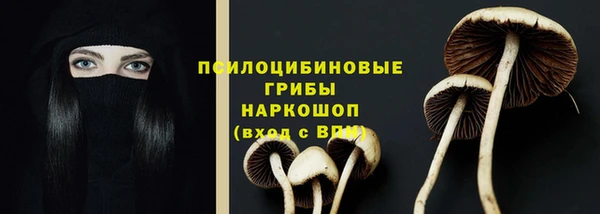a pvp Верхний Тагил