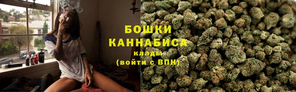 винт Верея