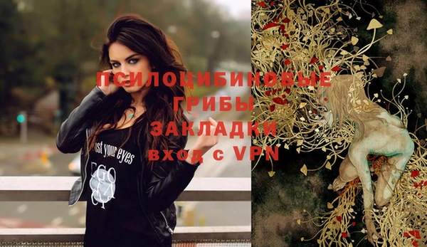 a pvp Верхний Тагил