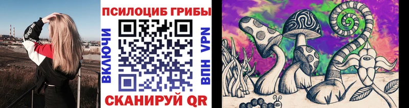 Галлюциногенные грибы мицелий Купить Питкяранта